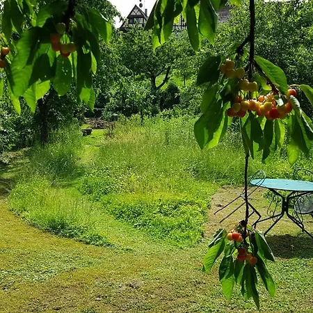 Au Petit Ruisseau-etage Et Combles-maison Alsacienne 4 Personnes 4 Nuitees Minimum Holiday home *