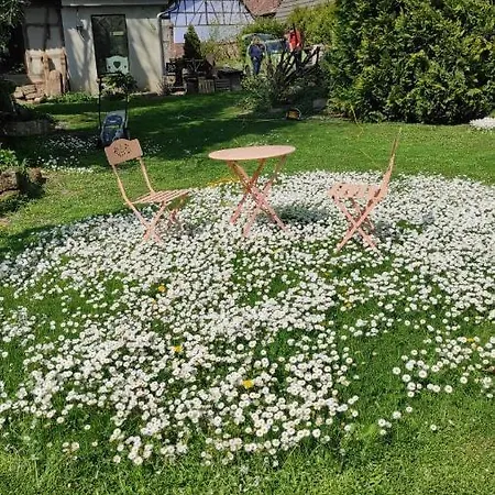 Au Petit Ruisseau-etage Et Combles-maison Alsacienne 4 Personnes 4 Nuitees Minimum Langensoultzbach