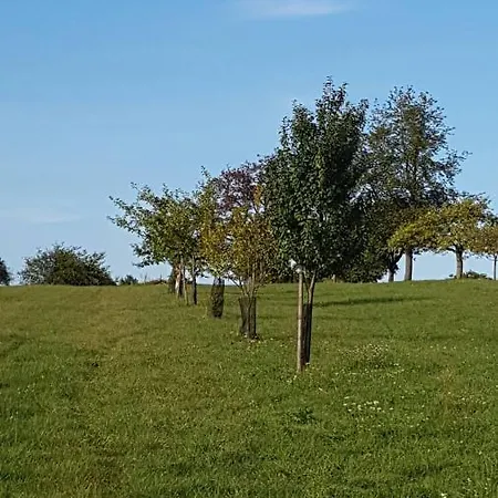 Au Petit Ruisseau-etage Et Combles-maison Alsacienne 4 Personnes 4 Nuitees Minimum