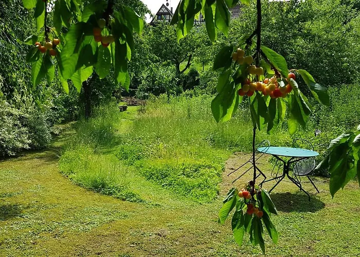 Au Petit Ruisseau-etage Et Combles-maison Alsacienne 4 Personnes 4 Nuitees Minimum 펜션 *