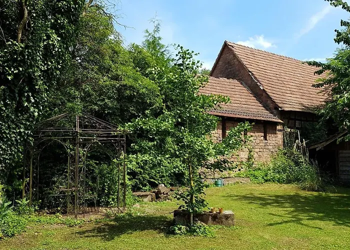 Au Petit Ruisseau-etage Et Combles-maison Alsacienne 4 Personnes 4 Nuitees Minimum 펜션 Langensoultzbach