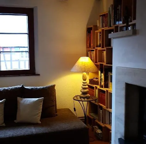 Au Petit Ruisseau-etage Et Combles-maison Alsacienne 4 Personnes 4 Nuitees Minimum * Langensoultzbach