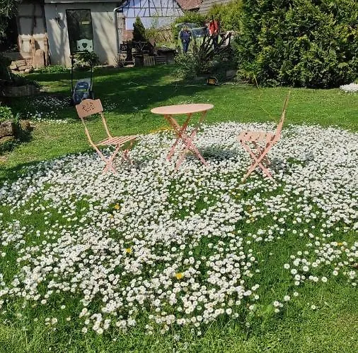 Au Petit Ruisseau-etage Et Combles-maison Alsacienne 4 Personnes 4 Nuitees Minimum Langensoultzbach