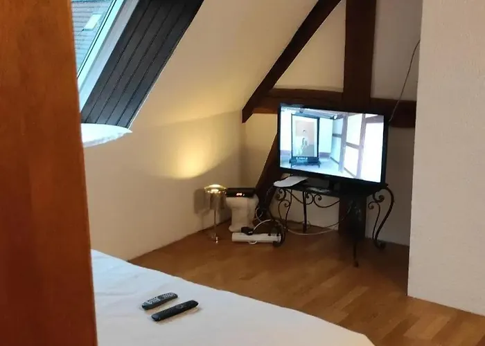 Au Petit Ruisseau-etage Et Combles-maison Alsacienne 4 Personnes 4 Nuitees Minimum * Langensoultzbach