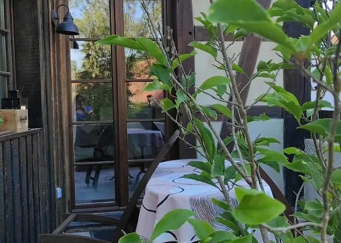 Au Petit Ruisseau-etage Et Combles-maison Alsacienne 4 Personnes 4 Nuitees Minimum 펜션 Langensoultzbach